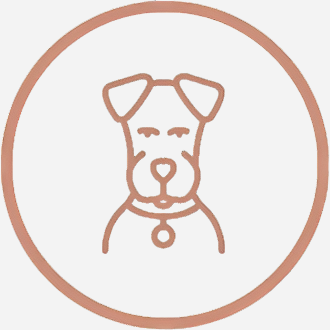 Choose Your Pet Photo