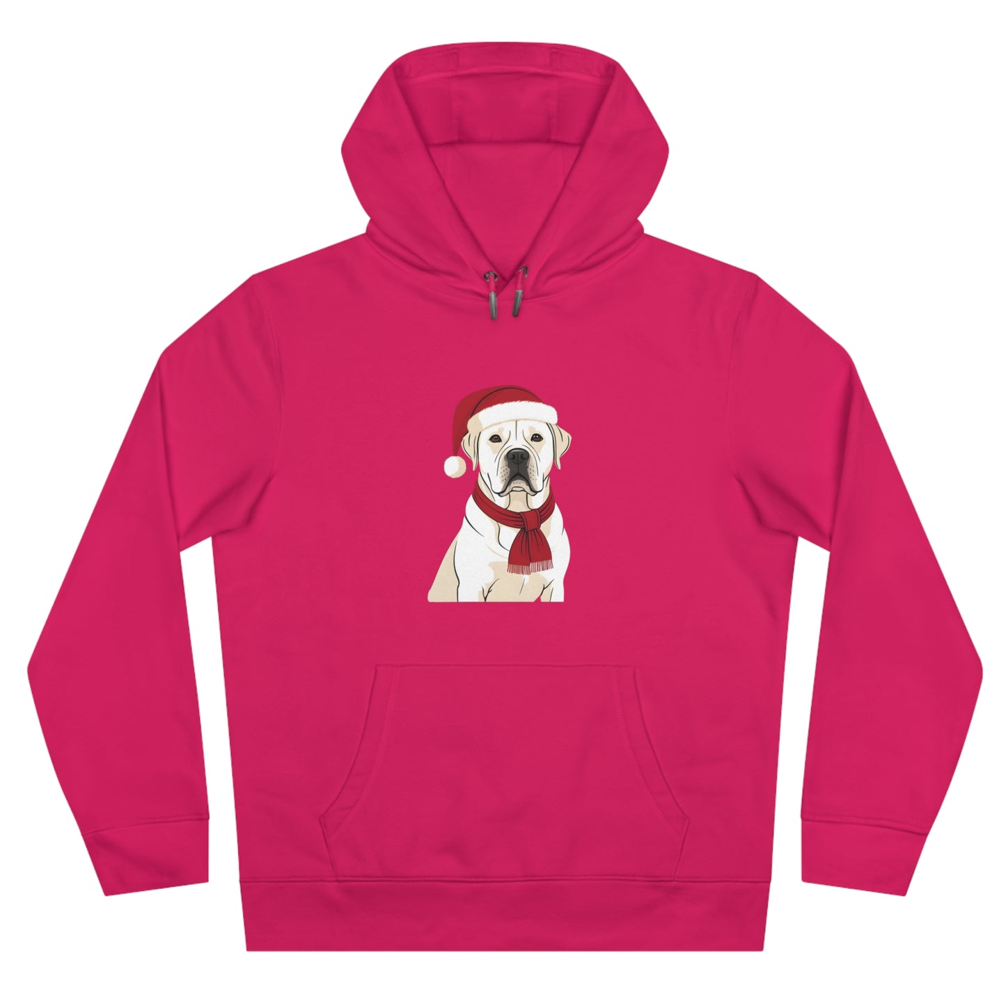 Paws & Claus 2 | Christmas Hoodie