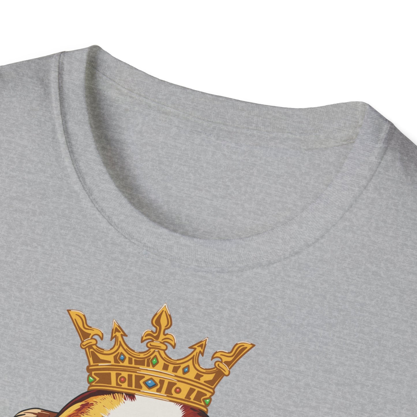 T-Shirt mit Aufdruck „Royal Cavalier“ 