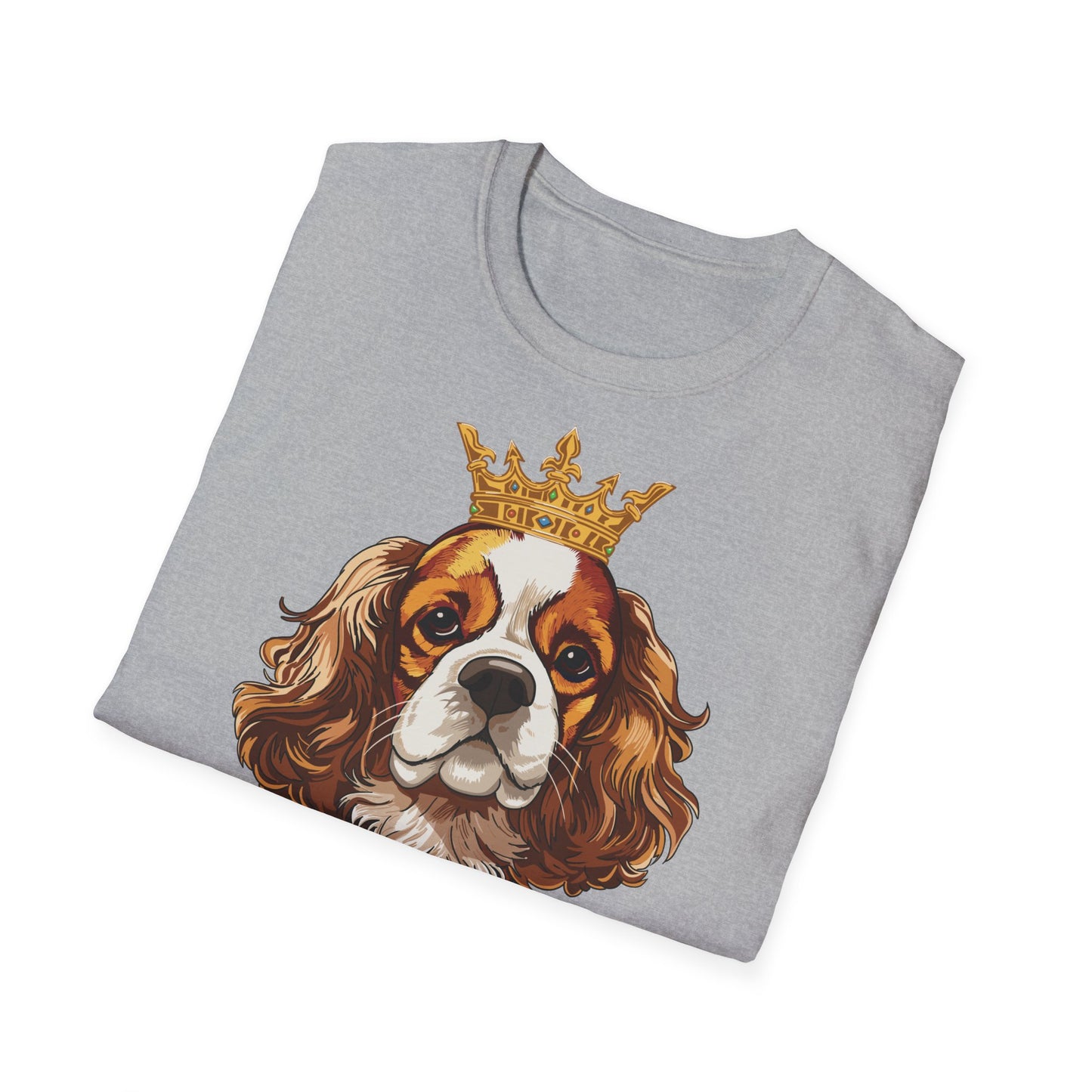 T-Shirt mit Aufdruck „Royal Cavalier“ 